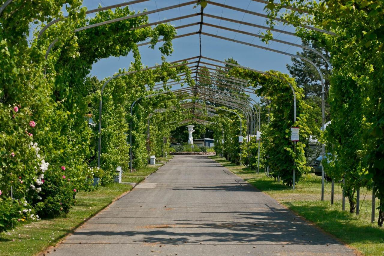 Knaus Campingpark Bad Dürkheim Exteriér fotografie